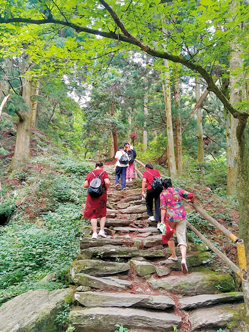 ◆好漢坡上好漢多。 作者供圖