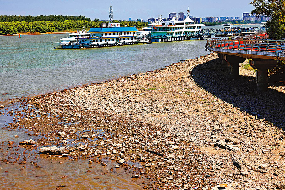 ◆長江南京段南岸一處江灘裸露。 中新社