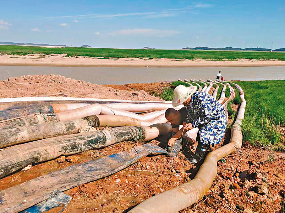 ◆鄱陽湖周邊幹群全力抗旱，種糧大戶正用舊的橡膠水帶接上高壓防爆水帶，延長取水管灌溉農田。 通訊員李韌  攝