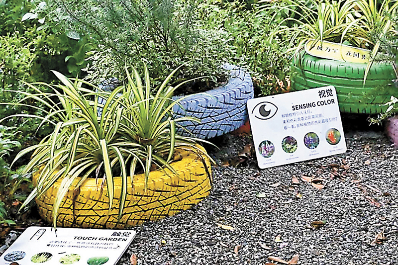 ◆ 廢棄輪胎改建成創意盆景。   受訪者供圖