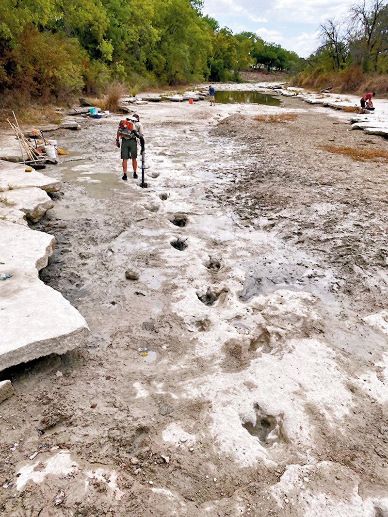 ◆恐龍腳印遍布河床。 法新社
