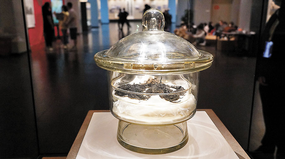 ◆中國閩台緣博物館展出的鄭成功頭髮，1946年出土於福建省南安市水頭鎮鄭成功陵墓。