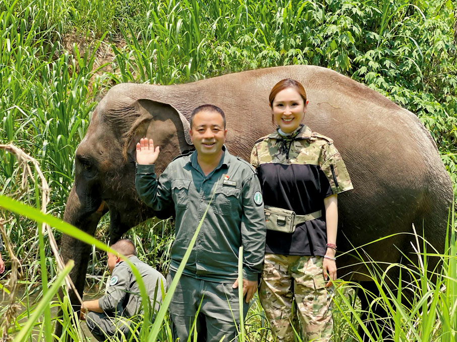 ◆本周播出的《無窮之路II—無價之保》探討「野象歷險記」。