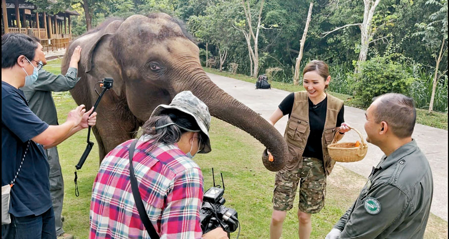 ◆貝兒體驗餵飼象寶寶。