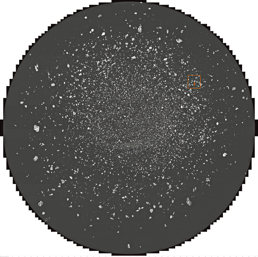 ◆14萬顆粒靶圖—標記新礦物位置。中核集團核地研院供圖