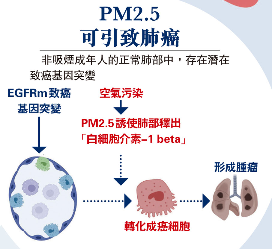 PM2.5可引致肺癌