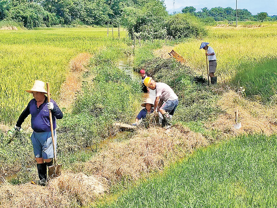 ◆長江流域再啟供水聯動保秋糧。圖為江西鷹潭市月湖區童家鎮農民在疏通水渠。香港文匯報江西傳真