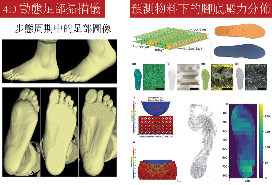 ◆ 項目使用4D動態足部掃描儀和AI算法預測物料下的腳底壓力分佈。