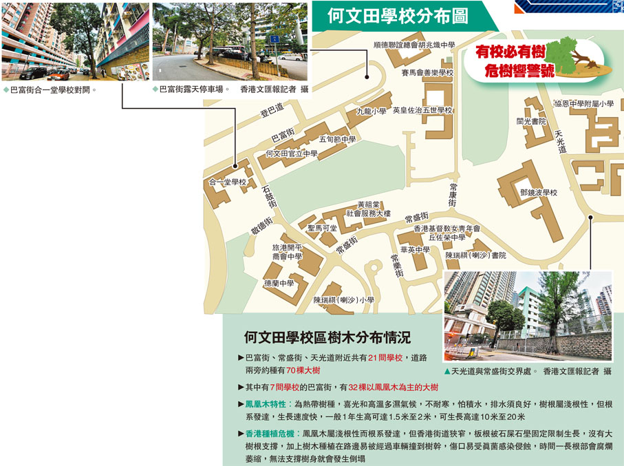 何文田學校分布圖