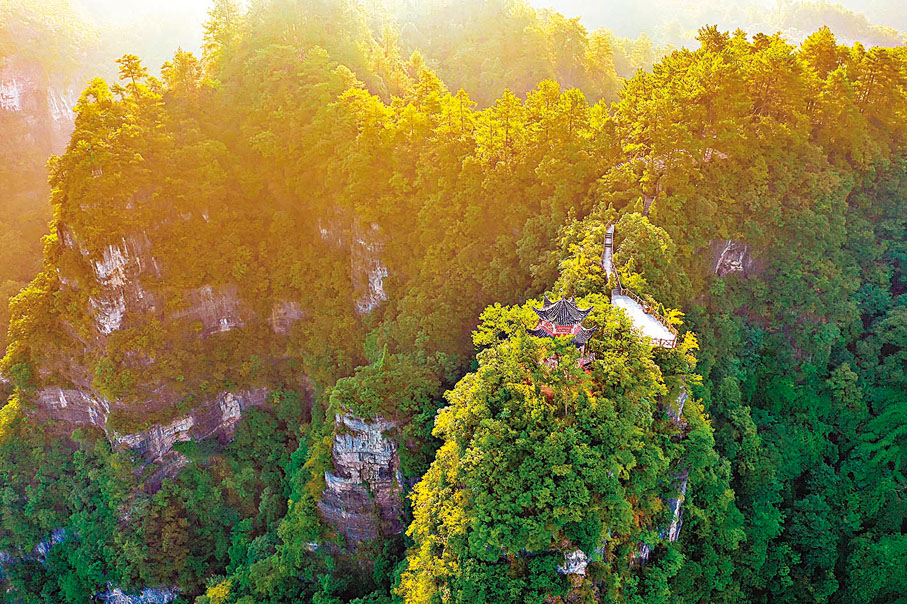 ◆朝陽照在貴州施秉雲台山山林間。