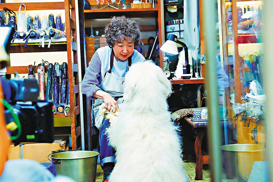 ◆狗狗「小巧」四處流浪，為沿途遇上的失意人奉上溫暖的陽光！