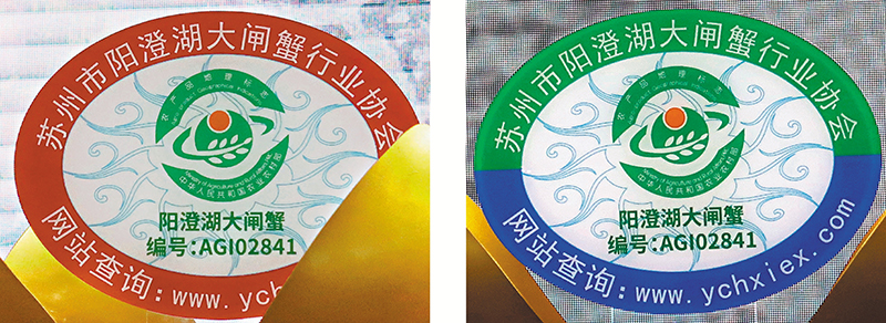 ◆左圖深紅色防偽溯源專用標識用於陽澄湖圍網養殖區域。右圖綠色加藍色防偽溯源專用標識用於沿湖池塘高標準養殖區域。香港文匯報記者陳旻  攝