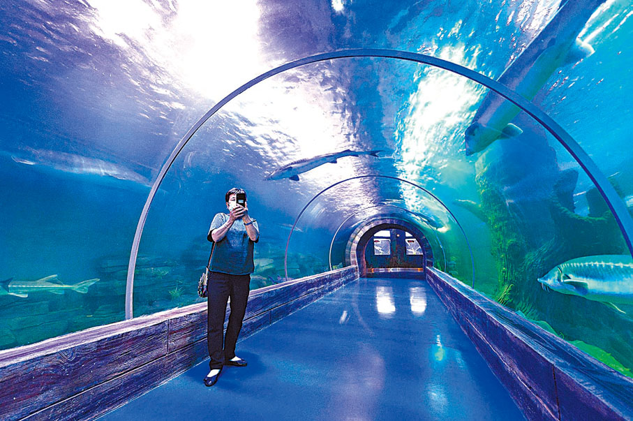◆遊客在隧道觀光區內可飽覽不同魚類的美態。