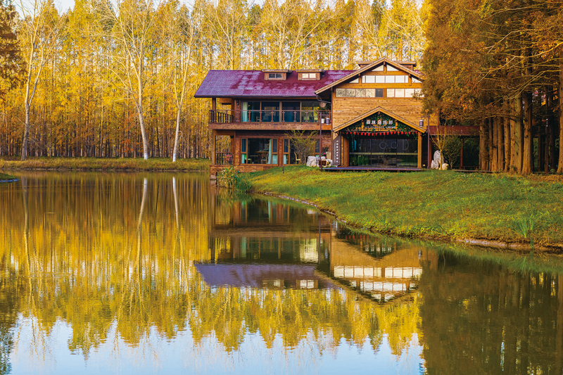 ◆ 黃海森林公園景區