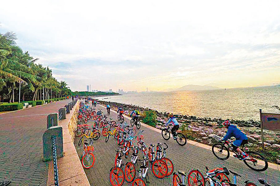 ◆市民在深圳灣公園騎行。 網上圖片