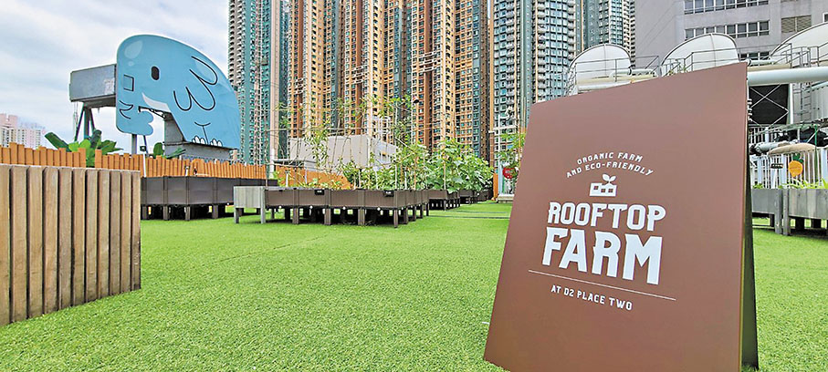 ◆D2 Place二期「天台農場」為周邊居民提供接近田園的機會。 D2 Place供圖