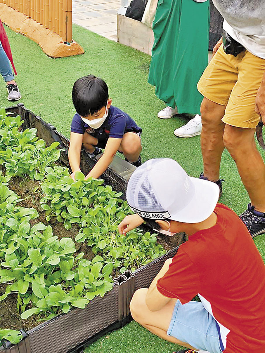 ◆小朋友們在「天台農場」參加worshop。  D2 Place供圖