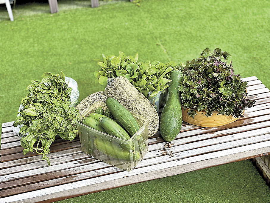 ◆「天台農場」的部分收成。 D2 Place供圖