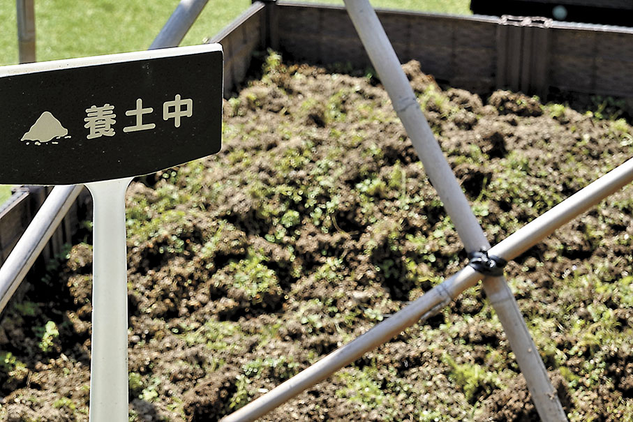 ◆由於營養物質不斷流失，天台上的田地必須每隔一段時間進行養土。