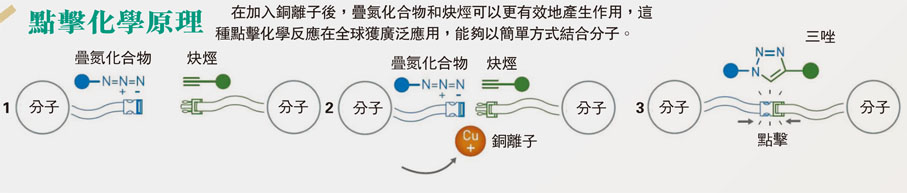 點擊化學原理　在加入銅離子後，疊氮化合物和炔烴可以更有效地產生作用，這種點擊化學反應在全球獲廣泛應用，能夠以簡單方式結合分子。