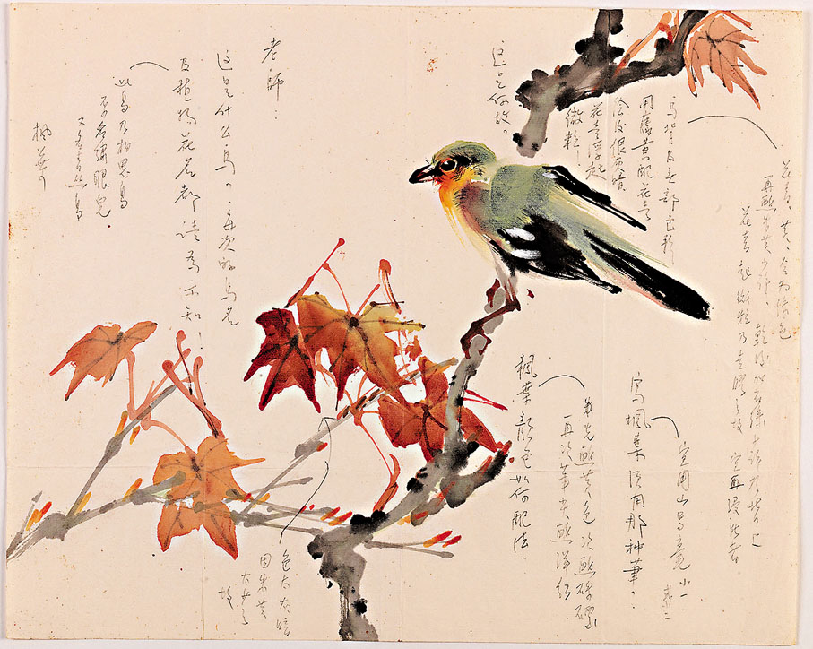 ◆陳崎畫稿《楓葉相思鳥》