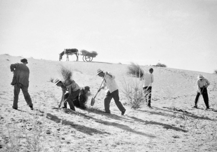 ◆八步沙第一代人治沙現場（1987年）。受訪者供圖