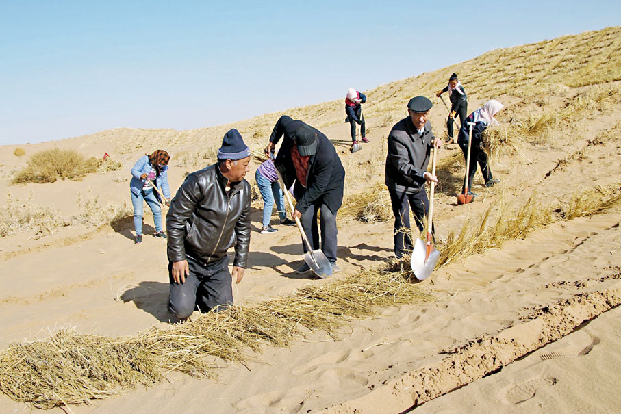 ◆八步沙治沙現場（2021年）。受訪者供圖