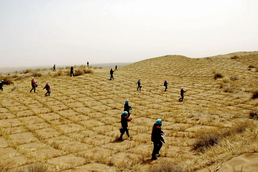 ◆治理中的沙漠。受訪者供圖