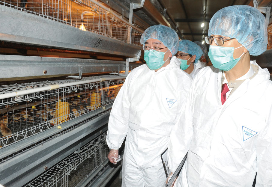 ■2012年，禽流感在港肆虐，高永文醫生全副武裝參觀錦田雞場。