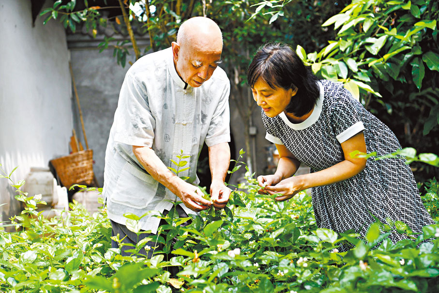 ◆「碧潭飄雪」是由中國製茶大師徐金華吸收明代閔汶水焙製「閔老子茶」與才子徐渭的「閬苑製法」後，於上世紀七十年代初在家中與妻女研製而成。