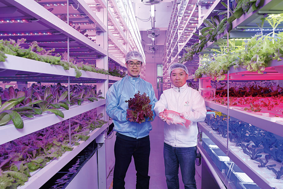 ◆獲HK Tech 300天使基金的綠芝園,積極利用「垂直種植」模式及多項創新科技和系統,由城大化學系校友林志揚(左)和友人譚嗣籇(右)共同創立。