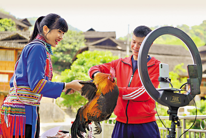 ◆廣西桂林市龍勝各族自治縣江底鄉城嶺村，扶貧工作分隊長何平（左）與養殖戶通過網絡直播向網友展示當地養殖的鳳雞。資料圖片