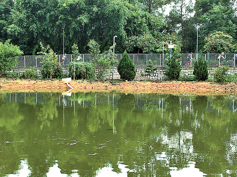 ◆最新一條上水至元朗的單車徑。