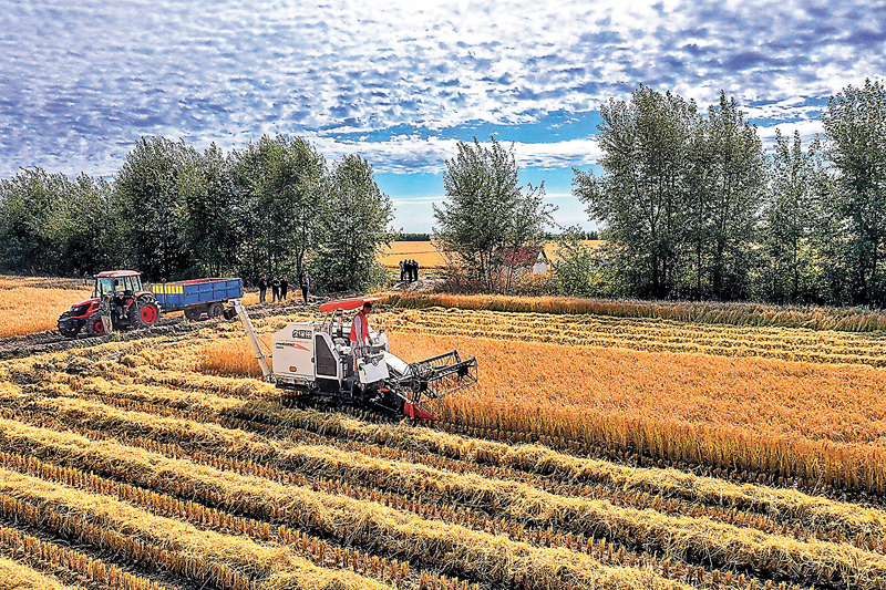 ◆ 農業對於古代中國的國計民生非常重要，甚至關乎國家的盛衰、政權的穩定。 資料圖片