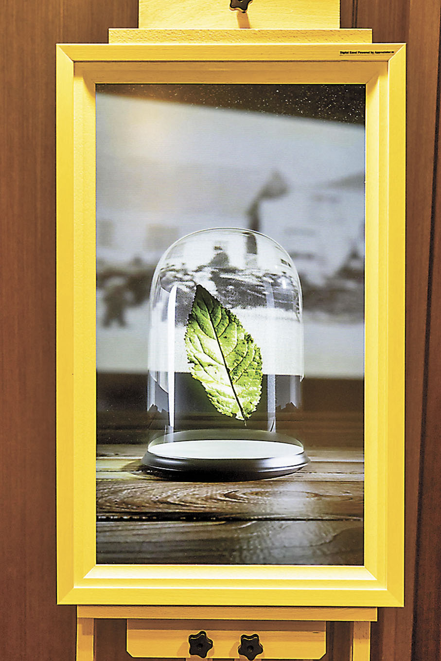 ◆新科技下的NFT藝術藏品。 作者供圖