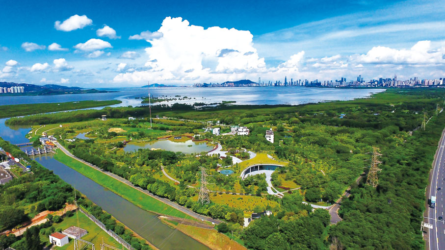 ◆ 圖為福田生態公園,厚植生態是福田區自始至終都未放下的擔子。