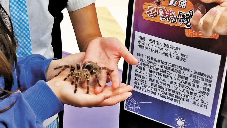 ◆尋「 蛛」「蠍」秘導賞團