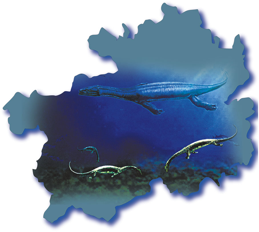 ◆貴州龍動物群復原圖。