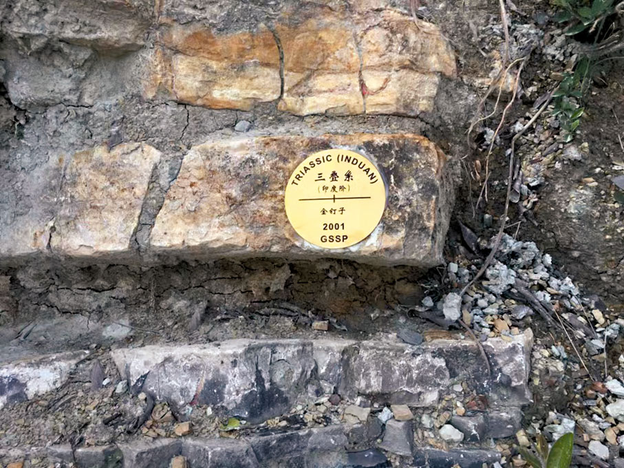 ◆二疊/三疊系界線層型剖面。 受訪者供圖