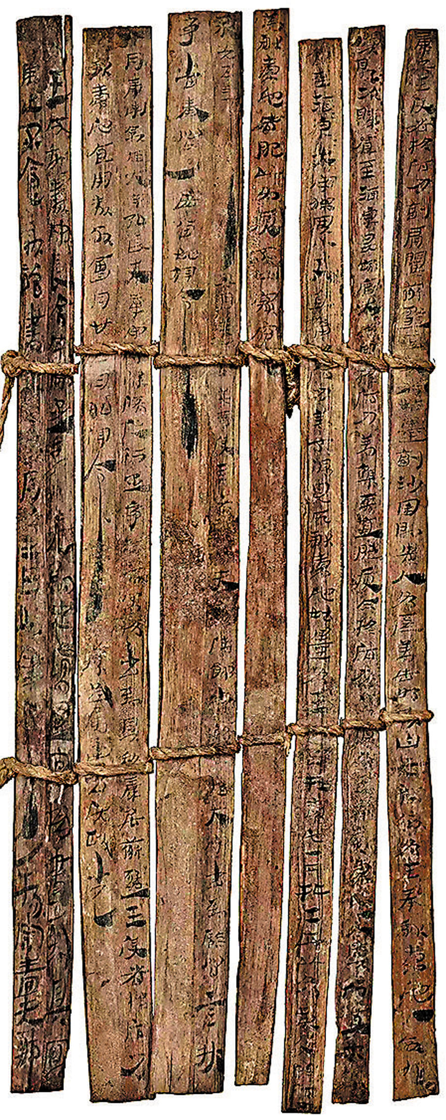 ◆《案驗康居王使者獻駝冊》