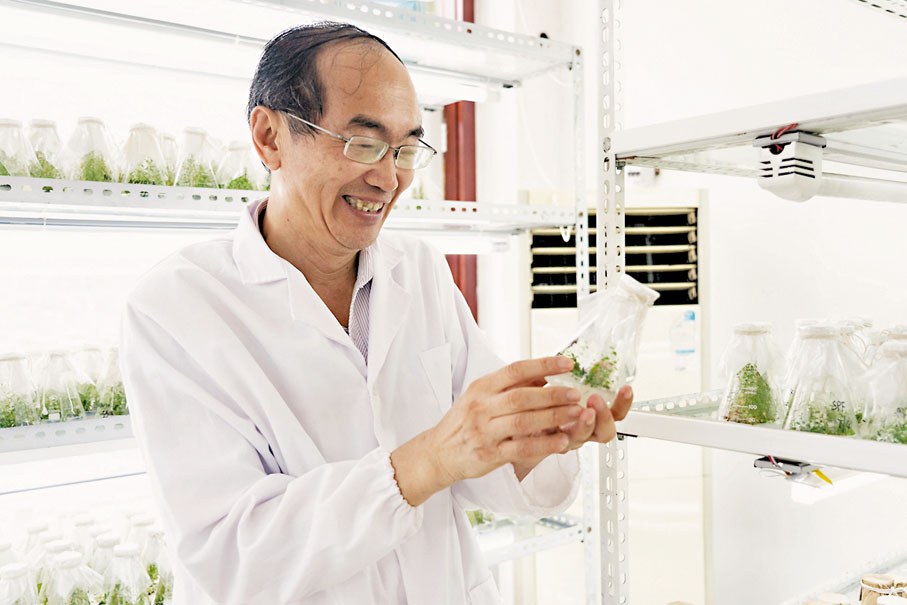 ◆山東省果樹研究所二級研究員劉慶忠。