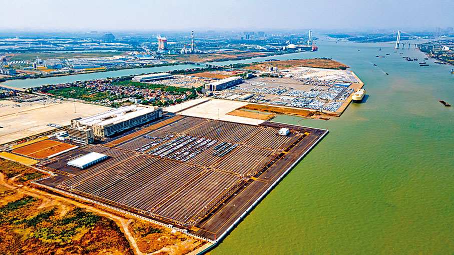 ◆廣州港南沙港區近洋碼頭工程（一期）通過竣工驗收。 受訪者供圖