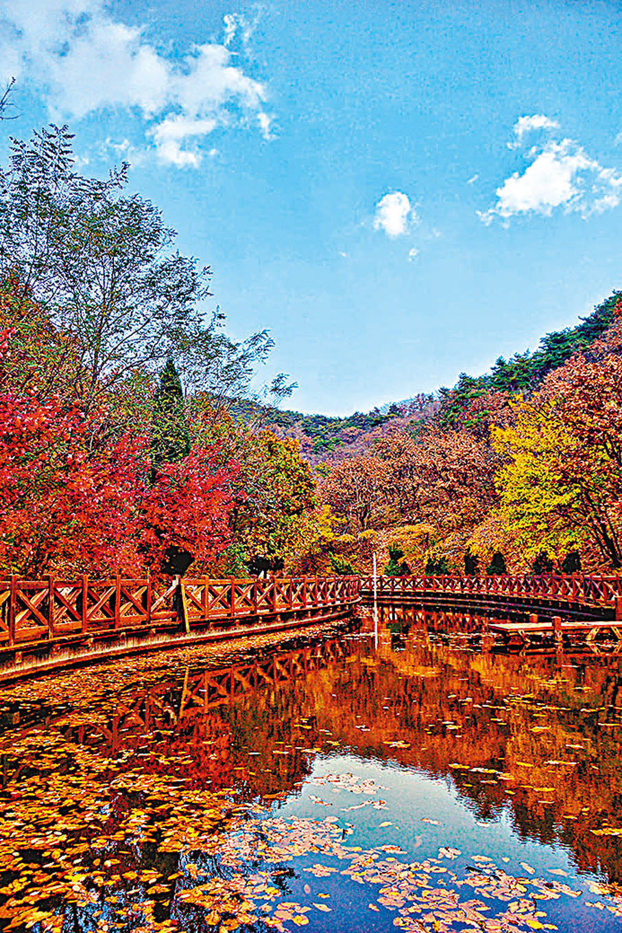 ◆各色彩葉與湖水藍天相映成趣，宛若一幅山水畫。