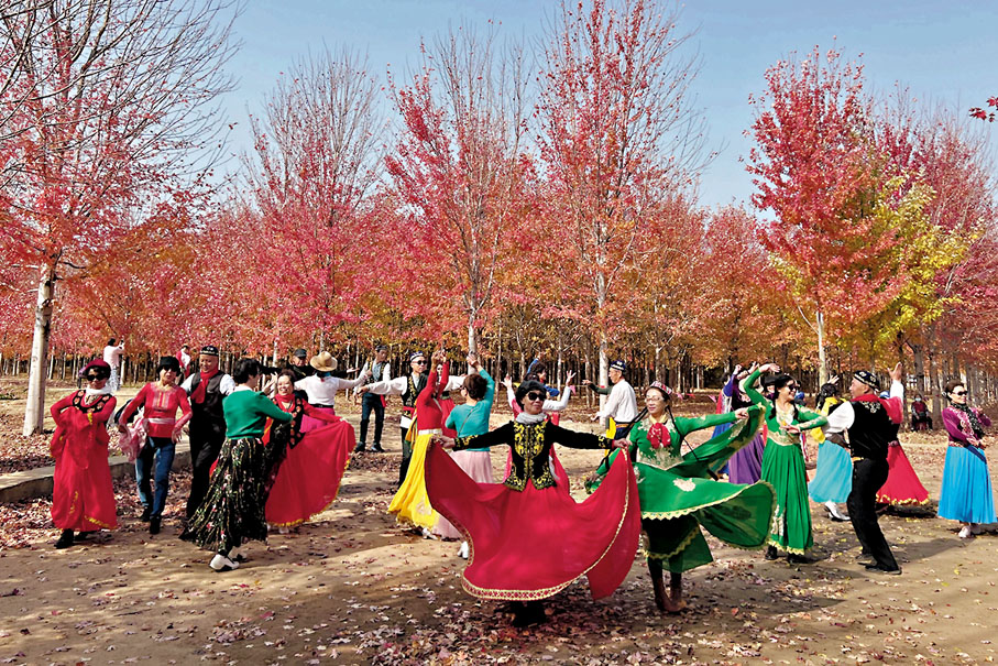 ◆大批遊客以楓林為背景打卡拍照。