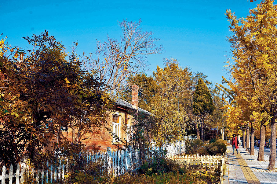 ◆充滿歷史感的老建築隱藏在金黃的秋色間。