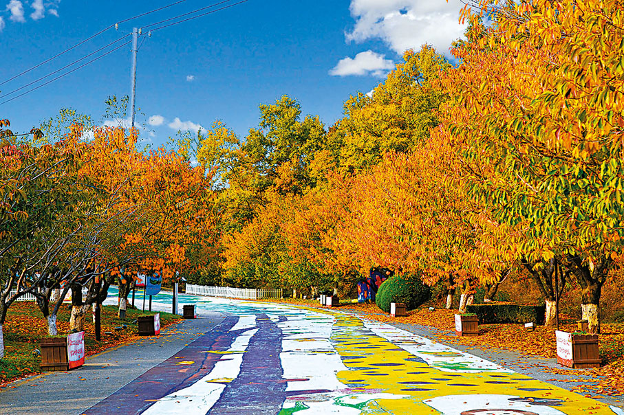 ◆東北地區規模較大的櫻花園深秋時節別有一番景致。