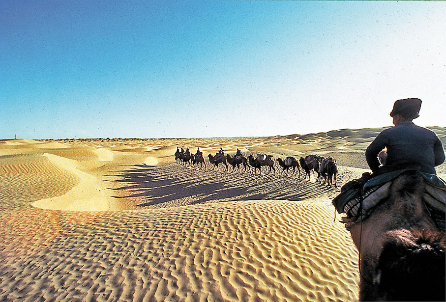 ◆ 隨着絲路被學術界重視，愈來愈多考察隊前往考察。圖為考察隊騎駱駝進入沙漠。 資料圖片