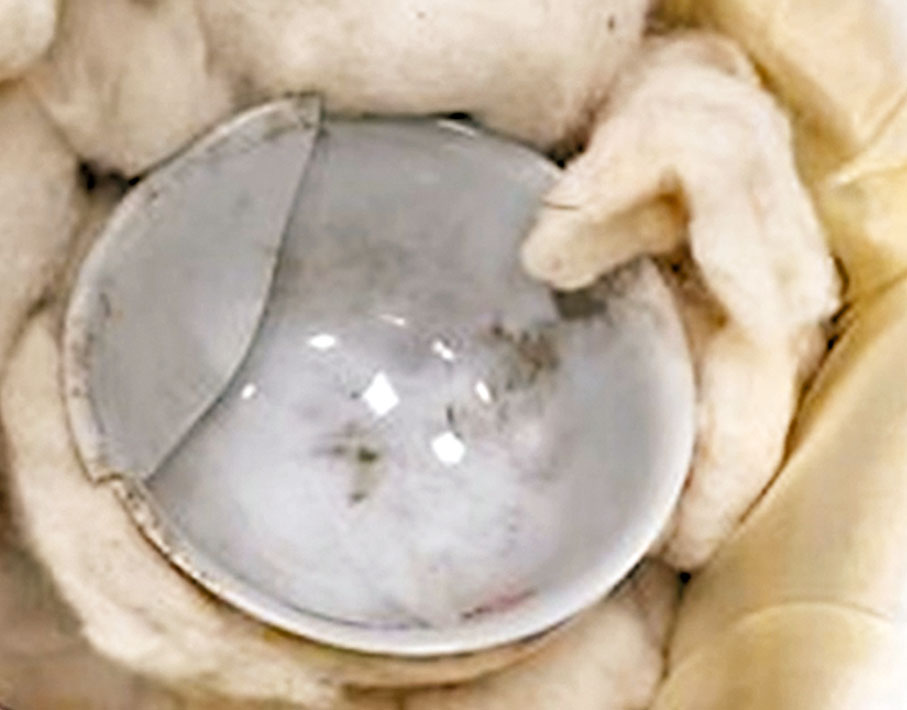 ◆「清康熙款暗龍白裏小黃瓷碗」破損情形。 網上圖片