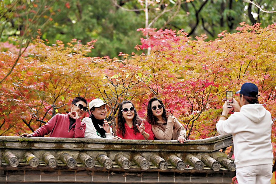 ◆黑龍潭公園楓樹林中楓葉逐漸轉紅，吸引民眾前來賞楓。