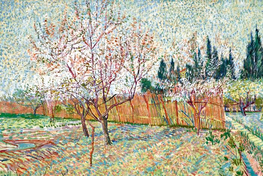 ◆ 《有柏樹的果園》